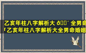 乙亥年柱八字解析大 🌴 全男命「乙亥年柱八字解析大全男命婚姻」